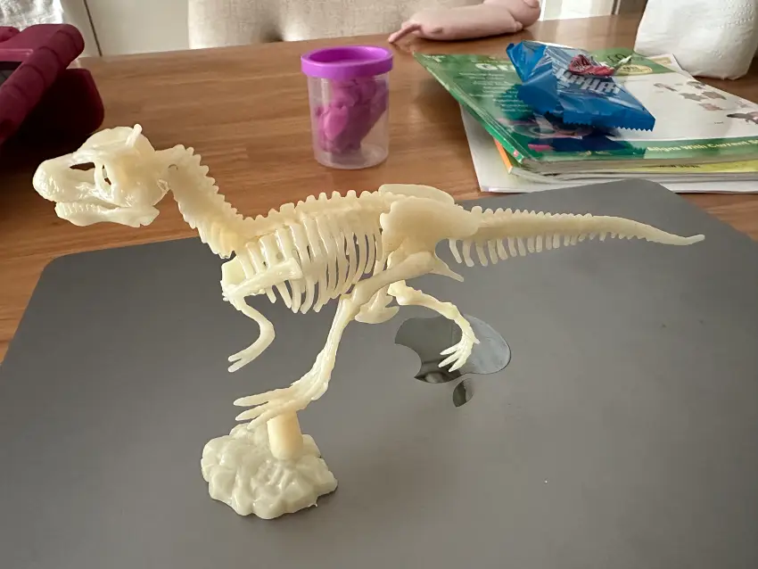 공룡화석 완성