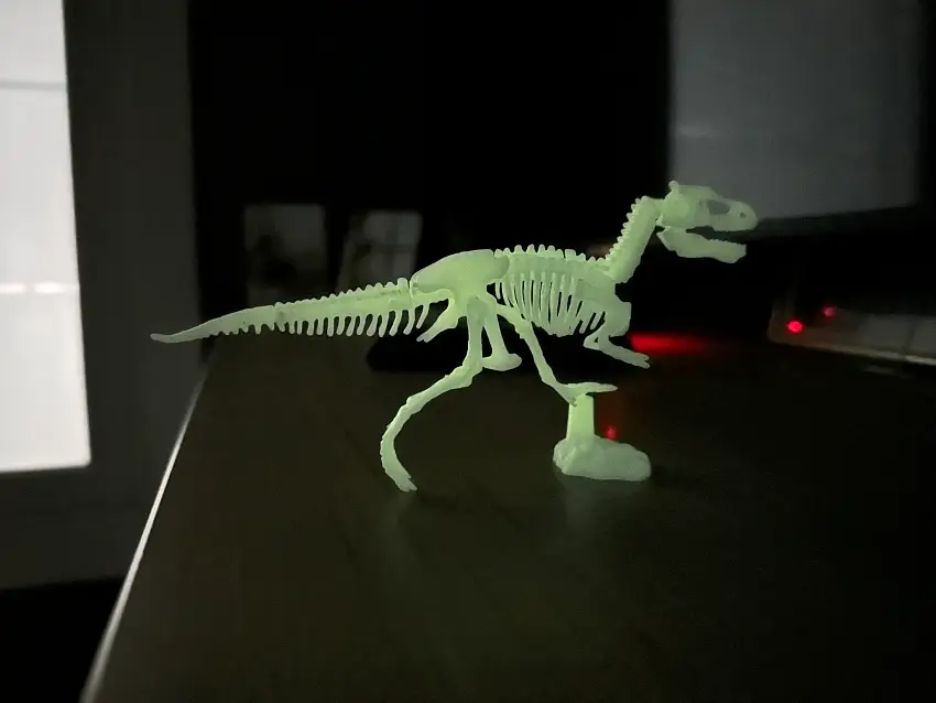 야광공룡화석